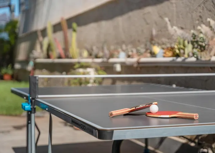 Leonardo * Puerto de Santiago (Tenerife)