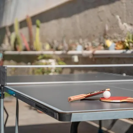 Leonardo * Puerto de Santiago (Tenerife)